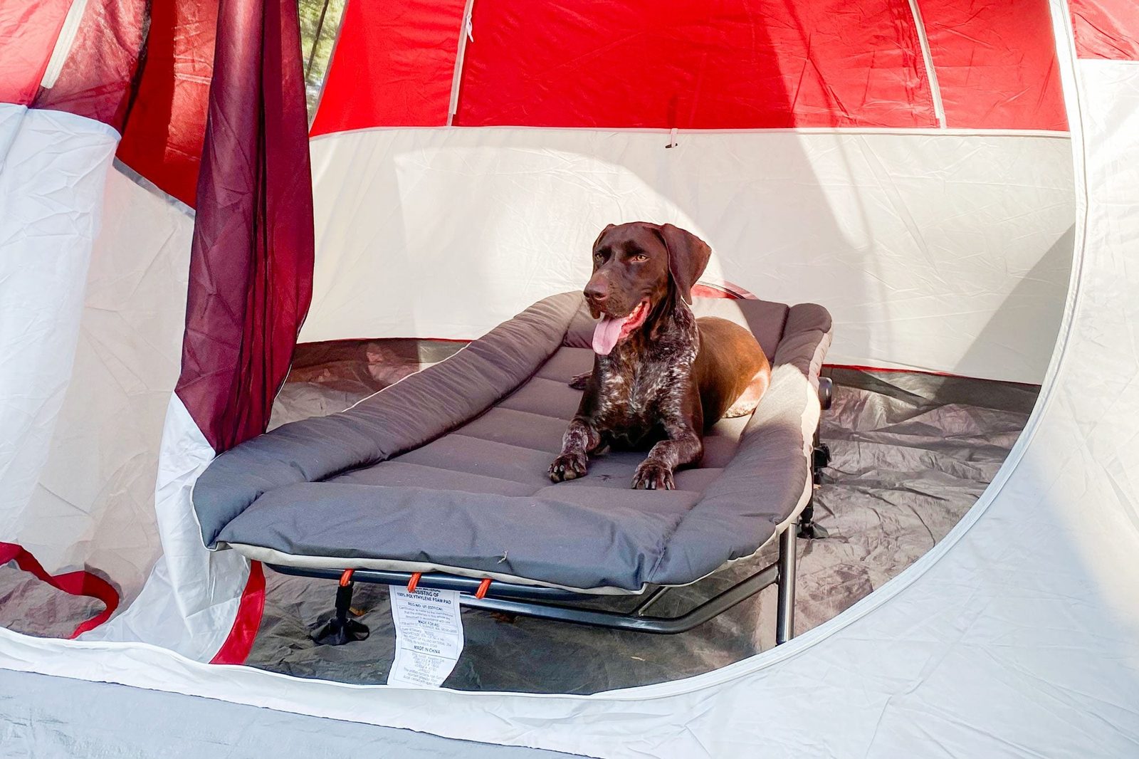 REI Kingdom Cot Review: Why It Provides a Luxurious Sleep Situation, According to an Avid Camper