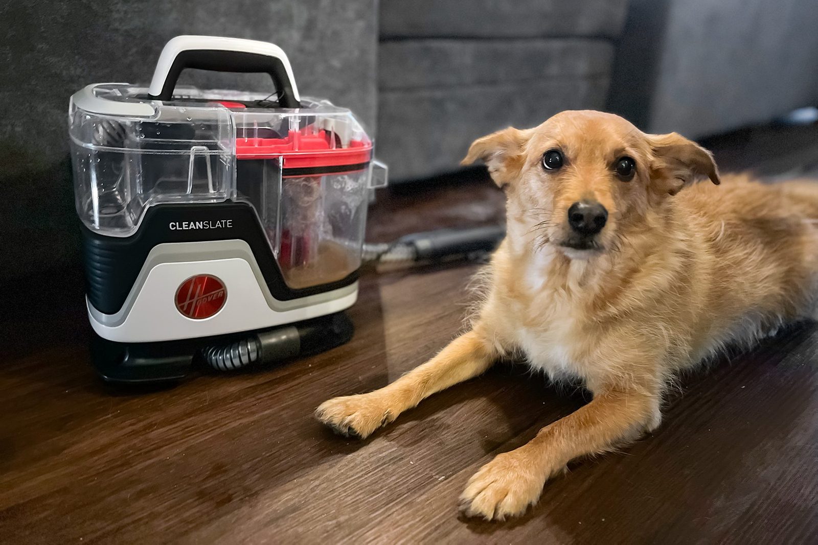 Hoover Clean Slate Review: We Tried this Carpet Cleaner Machine and Love it For Pet Messes