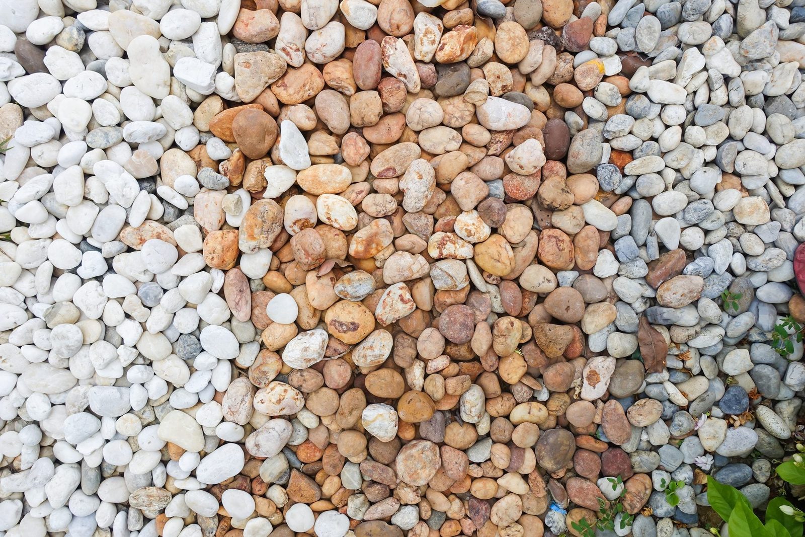 Everything You Ever Wanted to Know About Landscaping Gravel